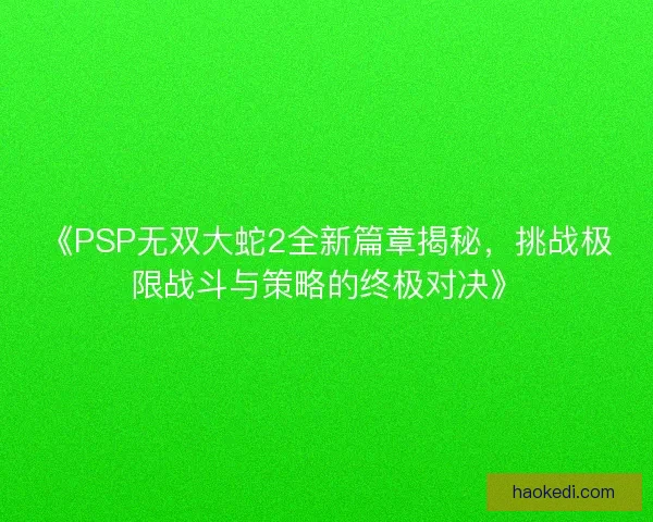 《PSP无双大蛇2全新篇章揭秘，挑战极限战斗与策略的终极对决》