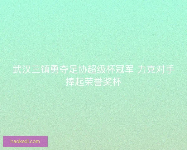 武汉三镇勇夺足协超级杯冠军 力克对手捧起荣誉奖杯